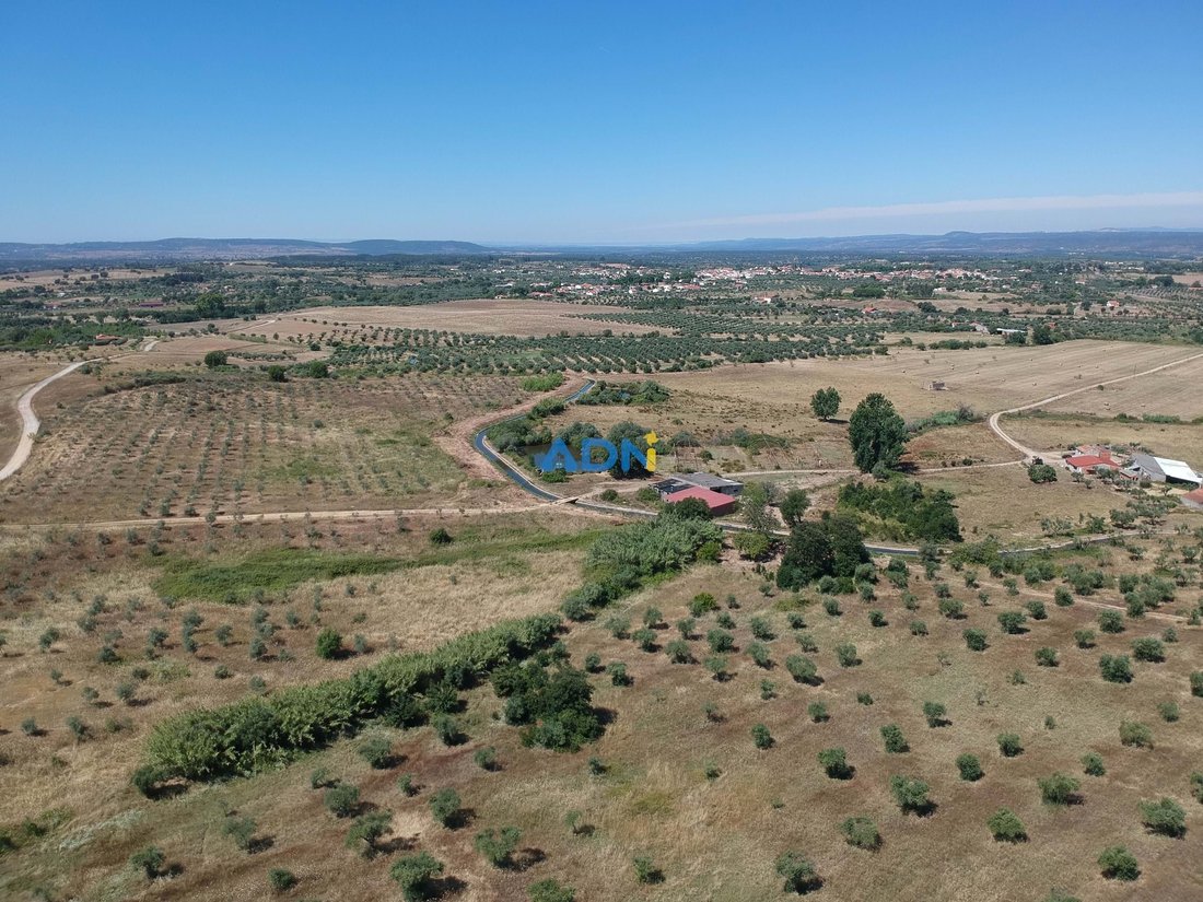 Land in Idanha-a-Nova e Alcafozes, Castelo Branco District, Portugal 3 - 14514682