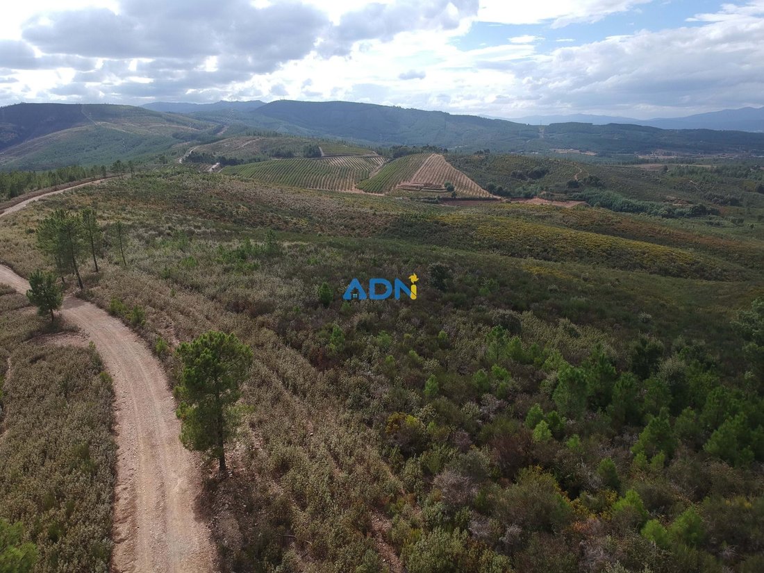 Land in Enxames, Castelo Branco District, Portugal 1 - 13235226