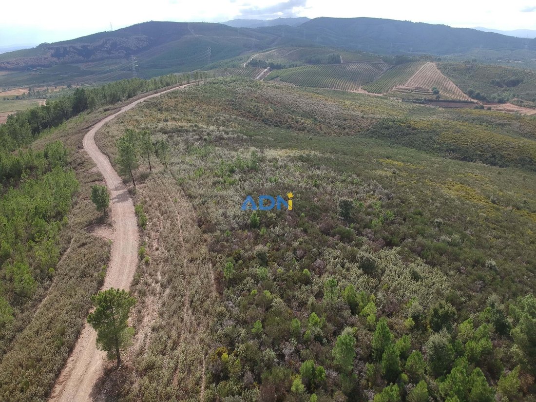 Land in Enxames, Castelo Branco District, Portugal 4 - 13235226