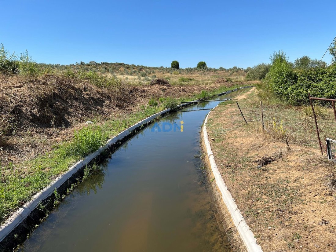 Land in Idanha-a-Nova e Alcafozes, Castelo Branco District, Portugal 1 - 14514682