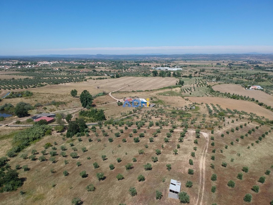 Land in Idanha-a-Nova e Alcafozes, Castelo Branco District, Portugal 4 - 14514682