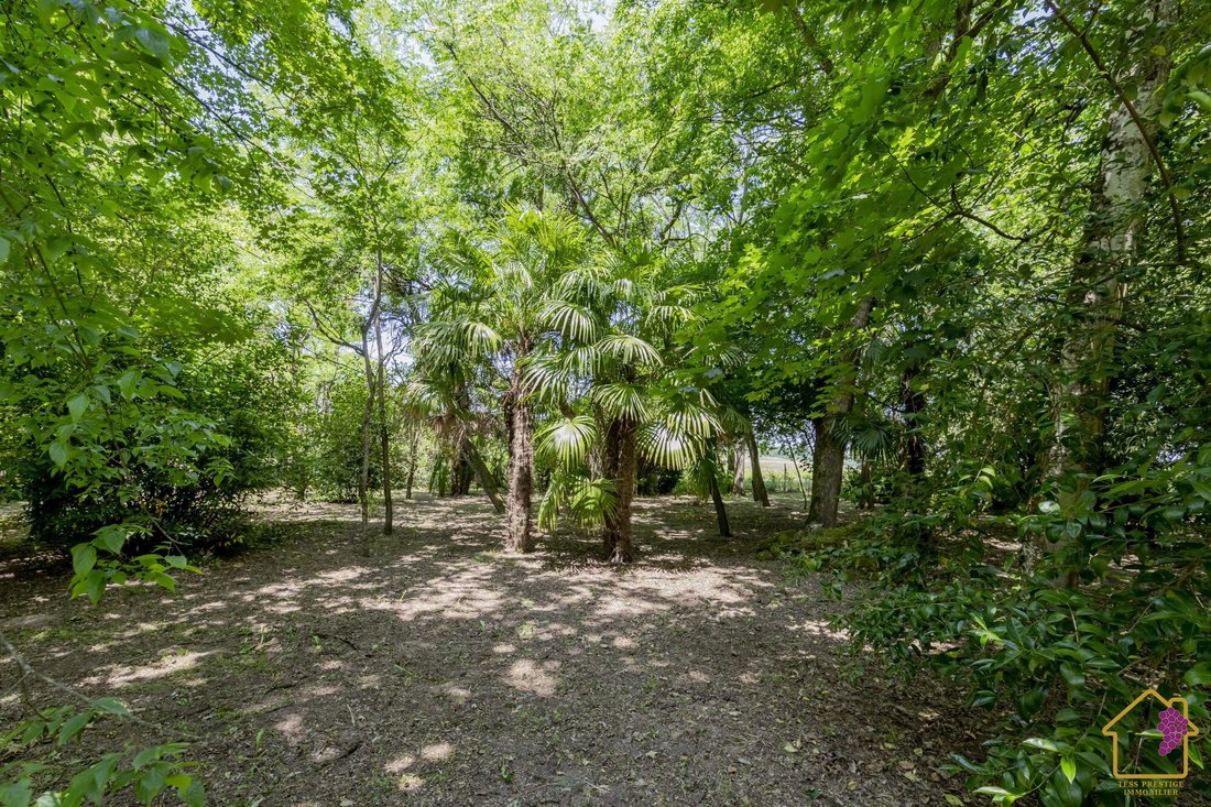 Whispers of Bordeaux: A 19th-Century Château Amidst Saint-Émilion’s Vineyards - 5