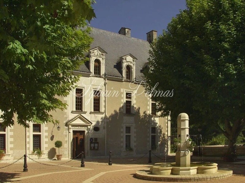 Château Renaissance d’Amboise: 26 Hectares of Timeless Grandeur & Whispering Centuries