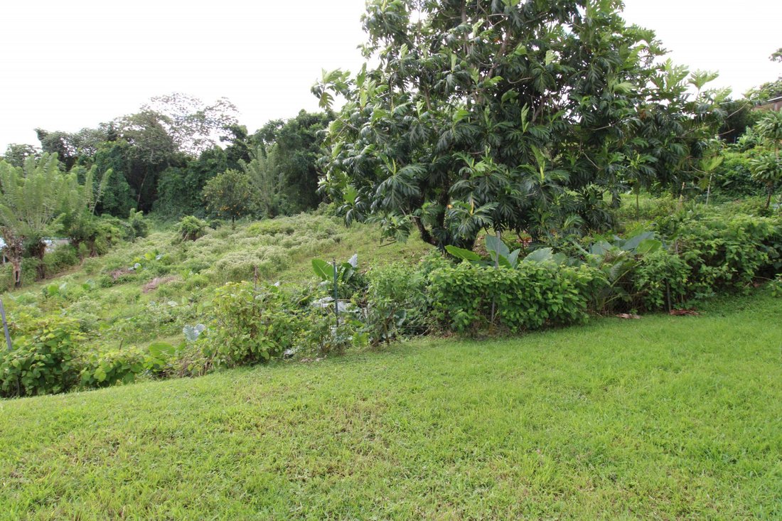 Land in Saint Joseph, Fort-de-France, Martinique 4 - 14010107