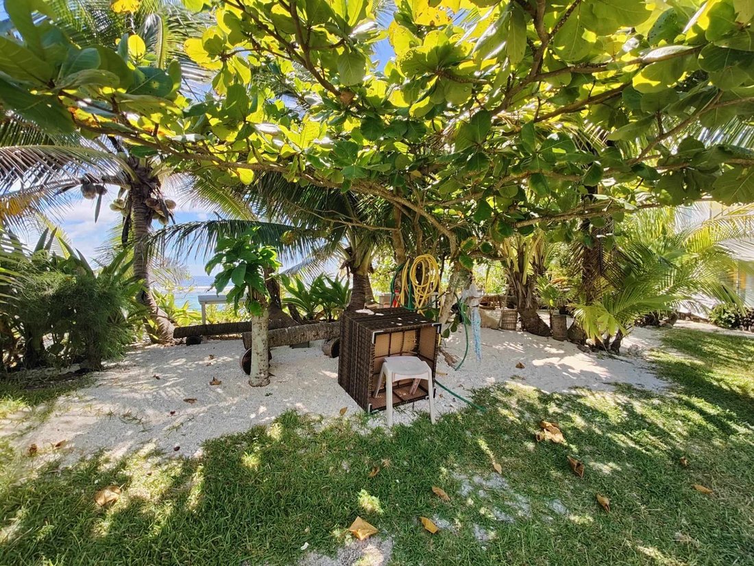 Land in Temae, Inseln über dem Winde, Französisch-Polynesien 4 - 14060468
