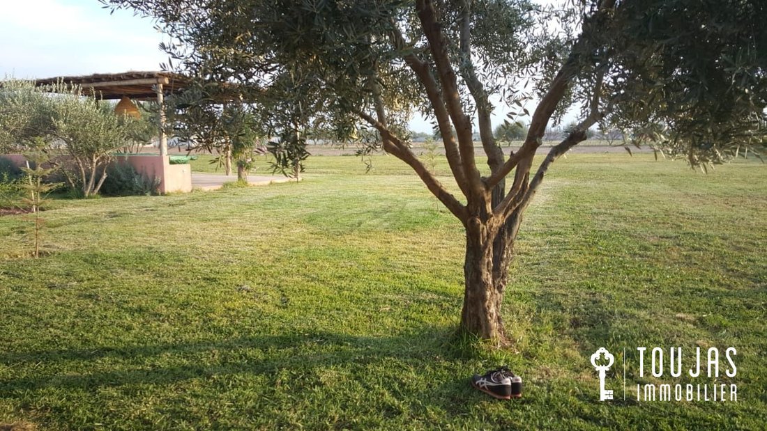 Land in France 1 - 12910346