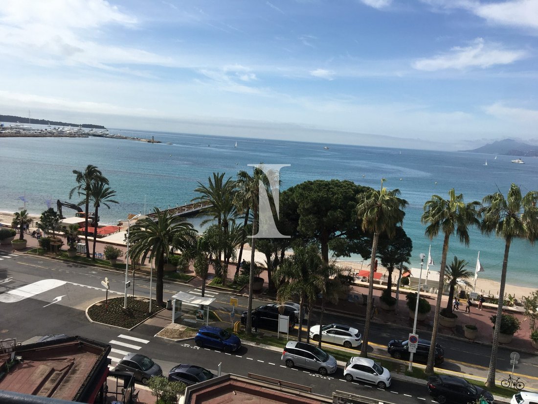Apartment in Cannes, Provence-Alpes-Côte d'Azur, France 4 - 14195060