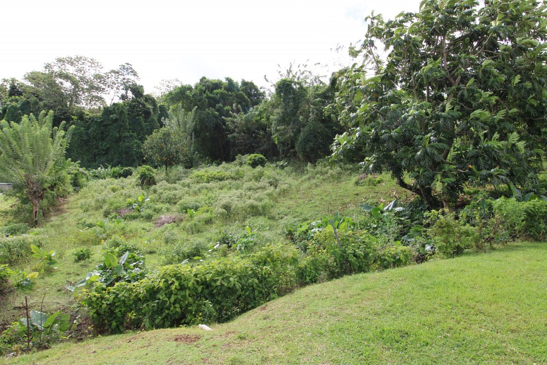 Land in Saint Joseph, Fort-de-France, Martinique 1 - 14010107