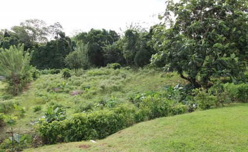Land in Saint Joseph, Fort-de-France, Martinique 1