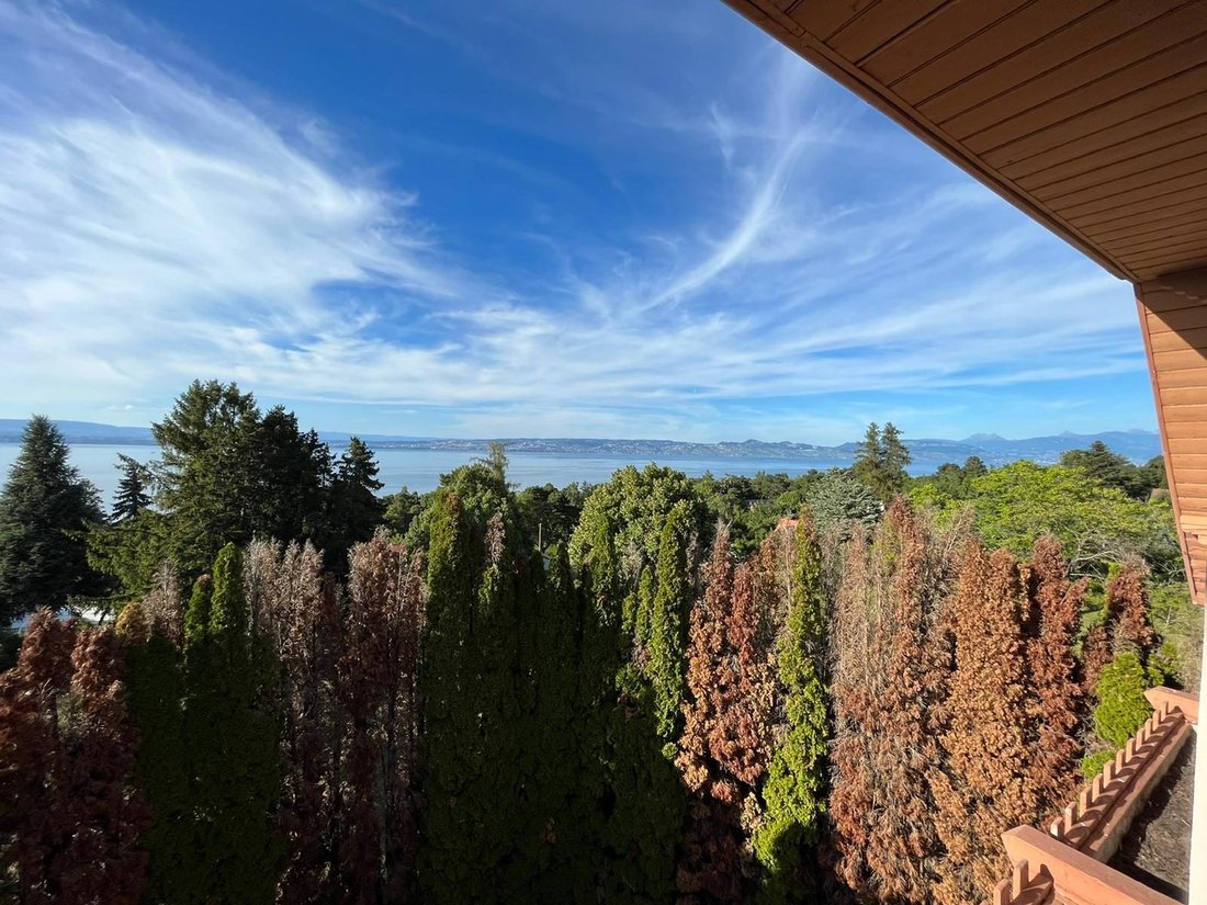 House in Evian-les-Bains, Auvergne-Rhône-Alpes, France 2 - 13923673