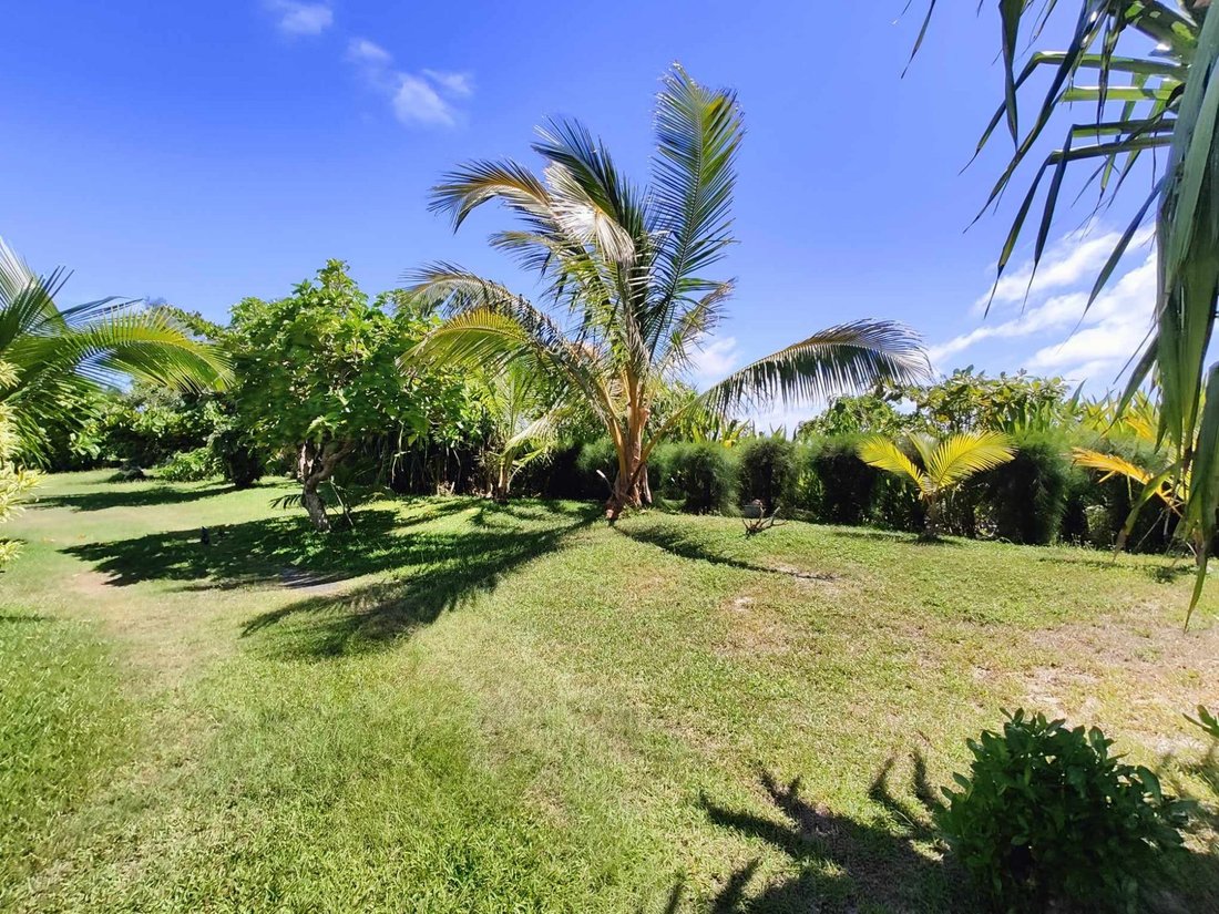 Land in Temae, Inseln über dem Winde, Französisch-Polynesien 3 - 14060468
