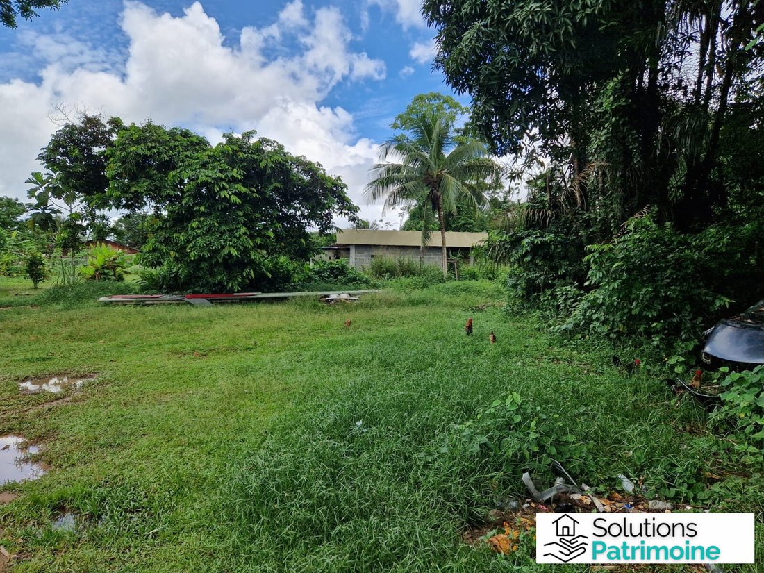 Land in Saint-Laurent-du-Maroni, Arrondissement of St.-Laurent-du-Maroni, French Guiana 4 - 14403980