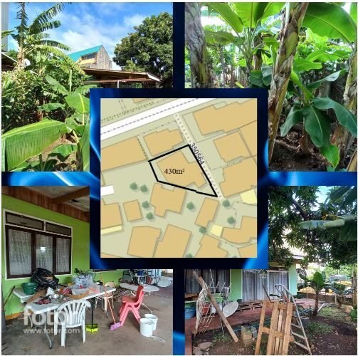 Land in Pape'ete, Windward Islands, French Polynesia 1 - 13504454
