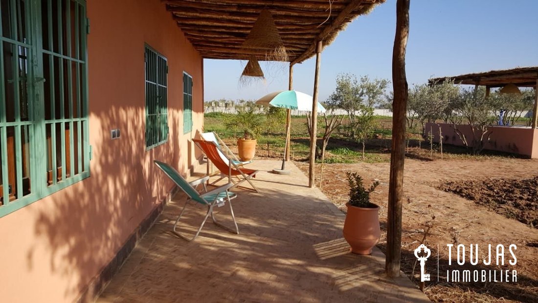Land in France 4 - 12910346