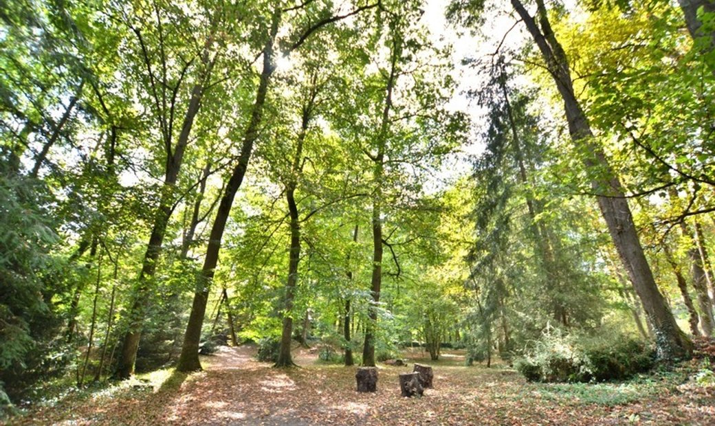 Lyon 50 Minutes, Clermont In Saint Germain Laval, Auvergne Rhône Alpes, France For Sale (14551053)