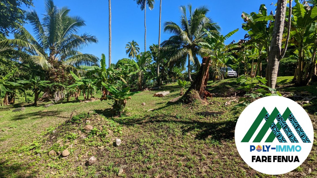 Land in Moorea-Maiao, Windward Islands, French Polynesia 4 - 12966610
