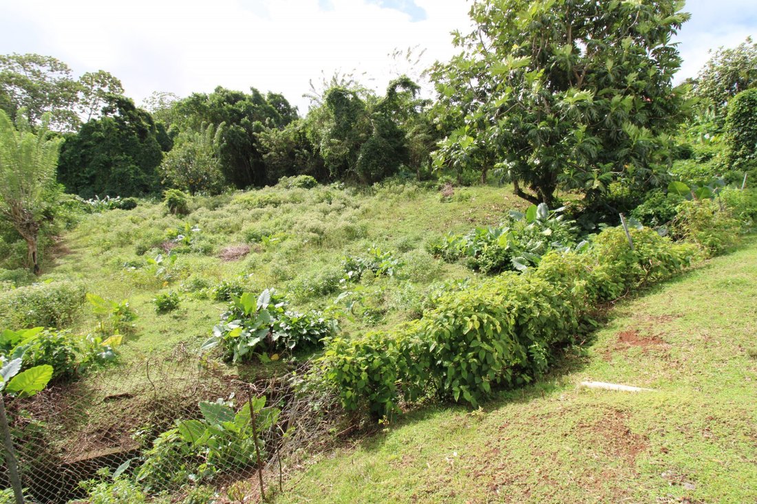 Land in Saint Joseph, Fort-de-France, Martinique 2 - 14010107