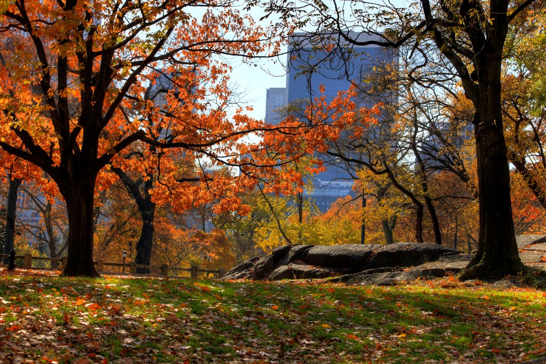Apartment in New York, New York, United States 3 - 14549053