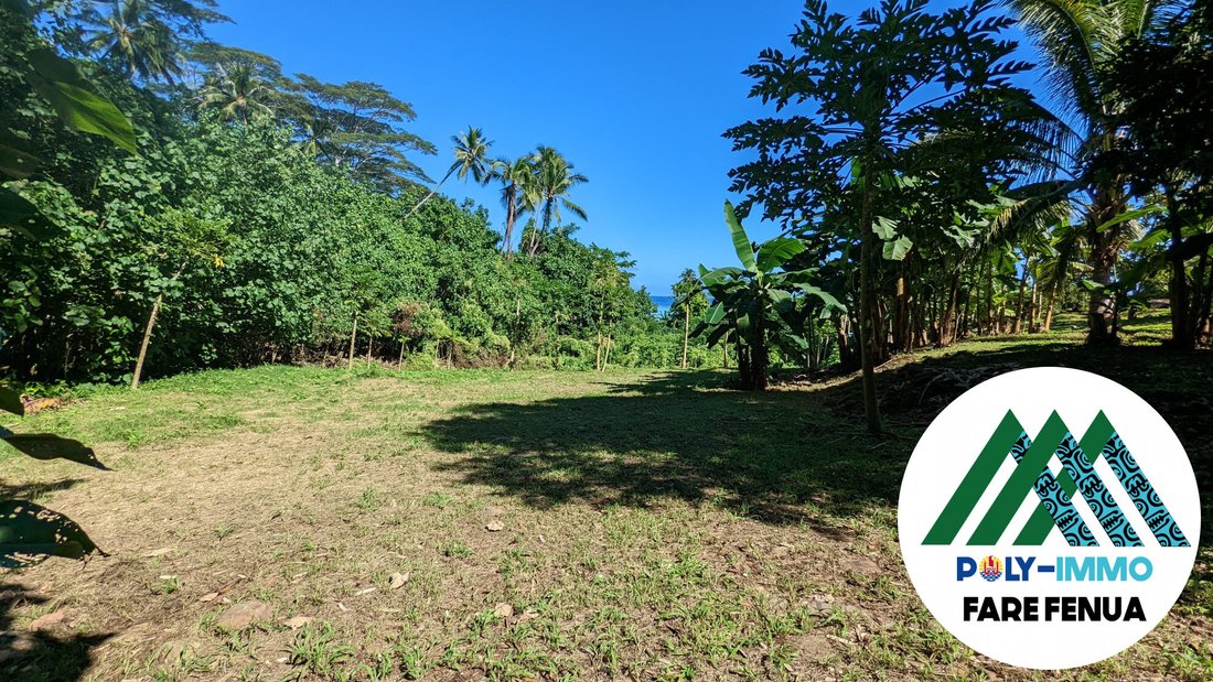 Land in Moorea-Maiao, Windward Islands, French Polynesia 1 - 12966610