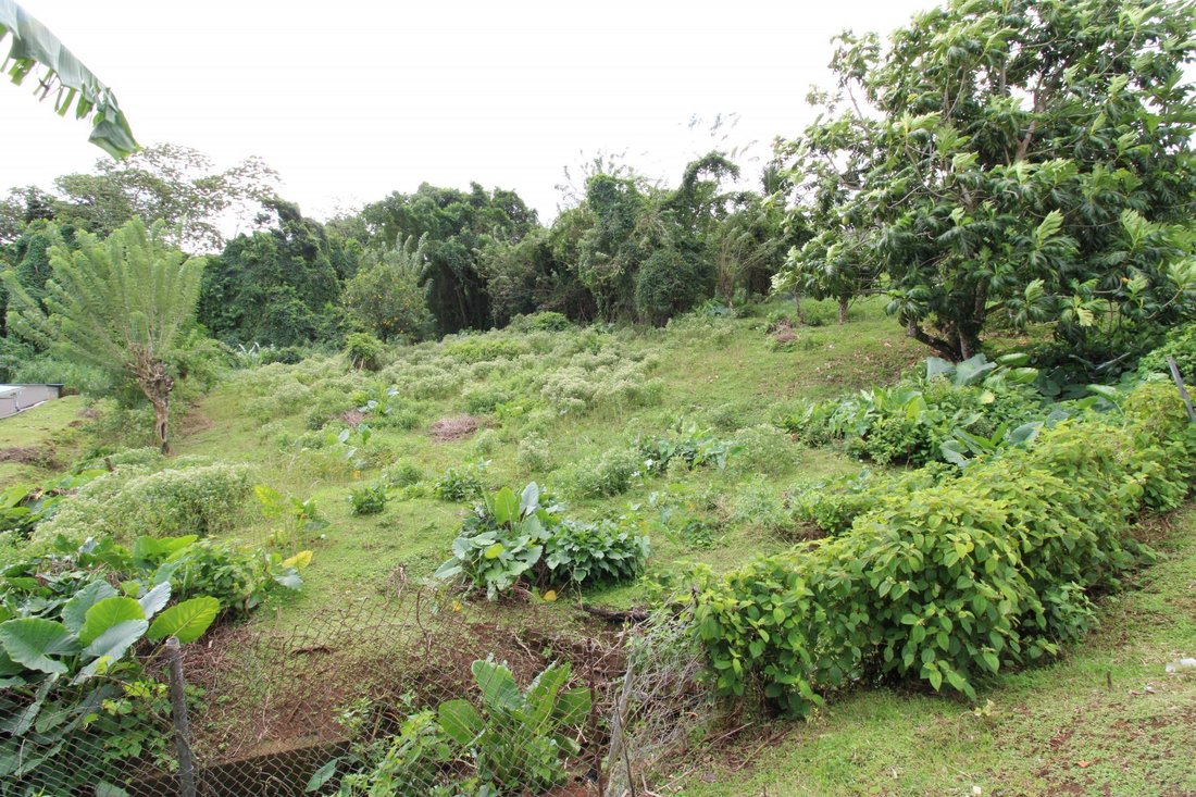 Land in Saint Joseph, Fort-de-France, Martinique 3 - 14010107