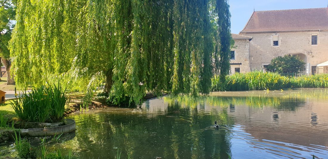 Le Rêve de Pierre: A 13th-Century Château Where Time Whispers Through Stone