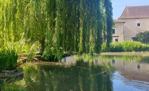 Château D’exception Aux Domaine Hôtelier 4* & événementiel