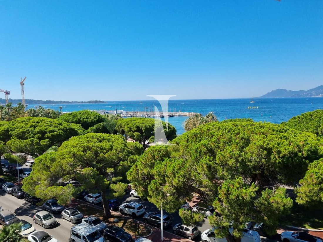 Apartment in Cannes, Provence-Alpes-Côte d'Azur, France 1 - 13159091