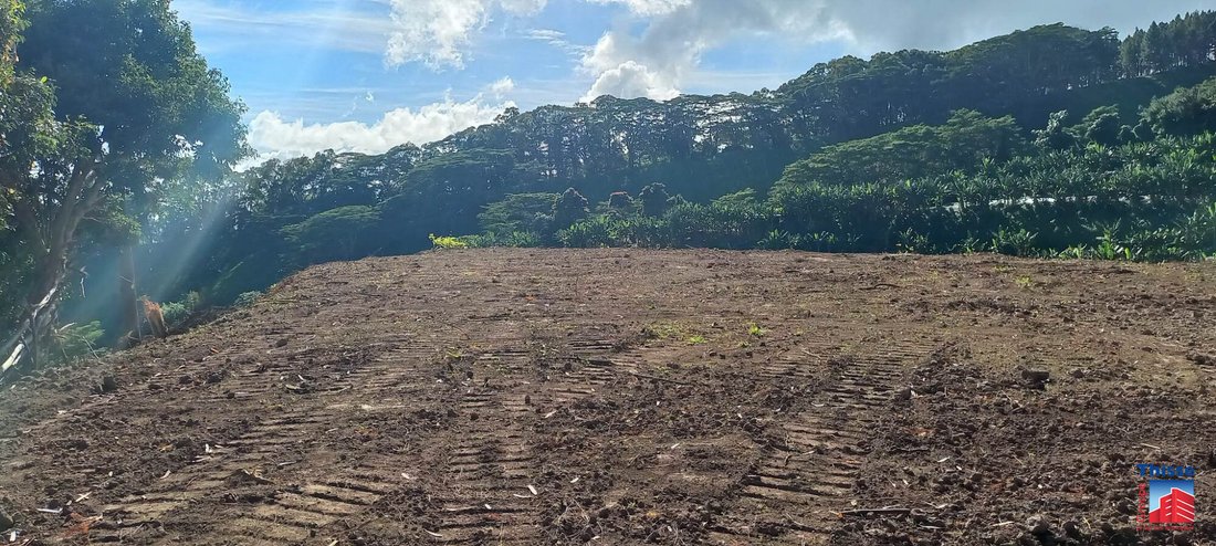 Land in Arue, Windward Islands, French Polynesia 5 - 12941505