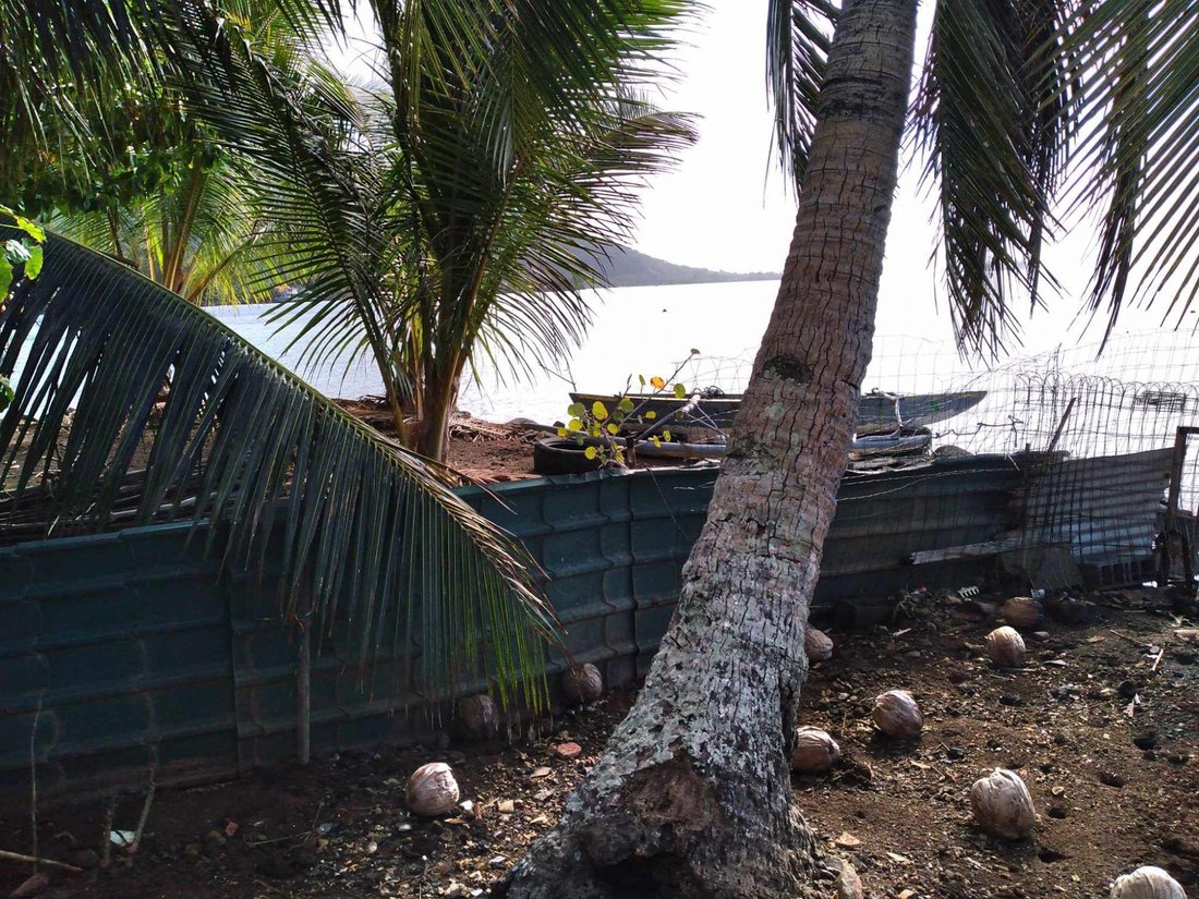 Land in Moorea-Maiao, Windward Islands, French Polynesia 5 - 14374863