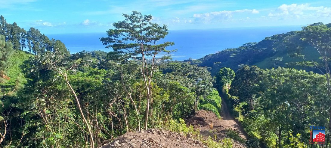 Land in Arue, Windward Islands, French Polynesia 1 - 12941505