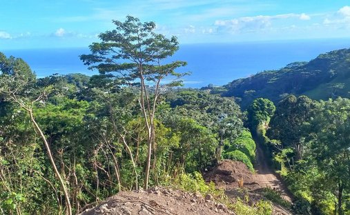 Land in Arue, Windward Islands, French Polynesia 1