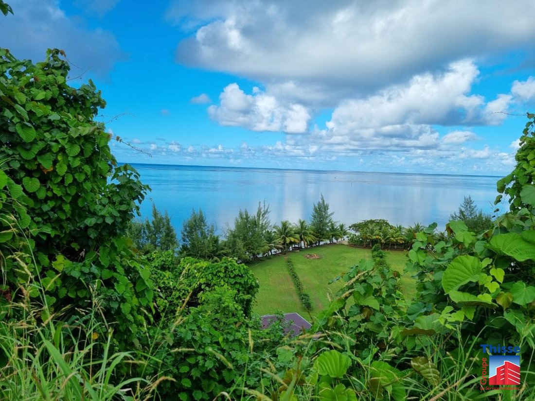 Land in taputapuatea, French Polynesia 3 - 13347123