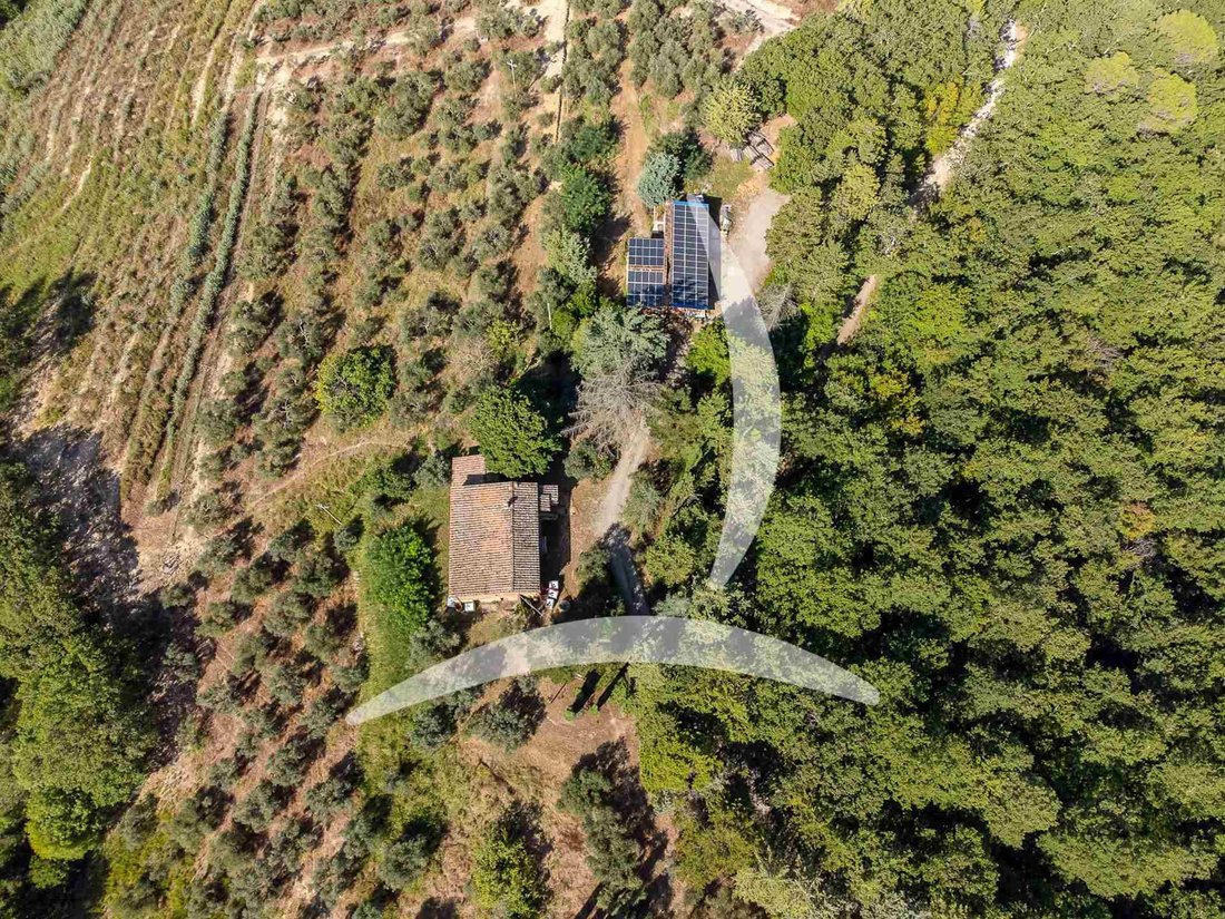 Asciano, Tuscany, Italy 5 - 14549619
