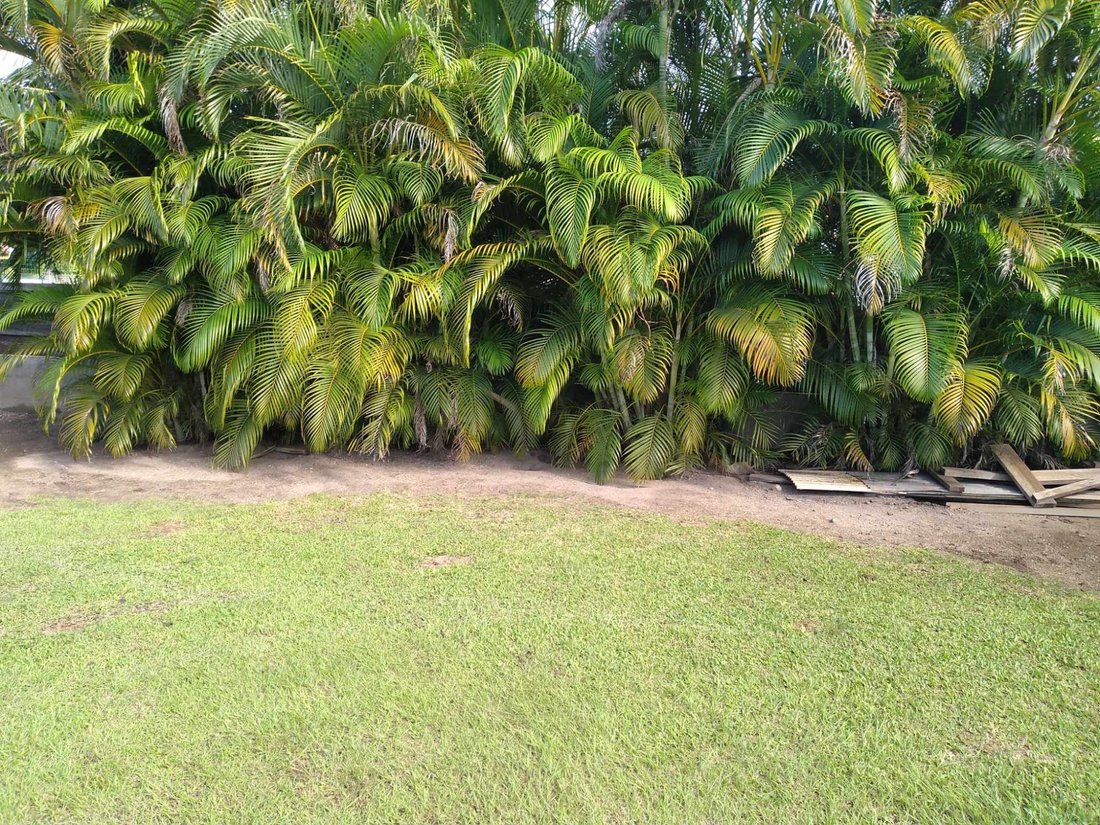 Land in Moorea-Maiao, Windward Islands, French Polynesia 1 - 14374863