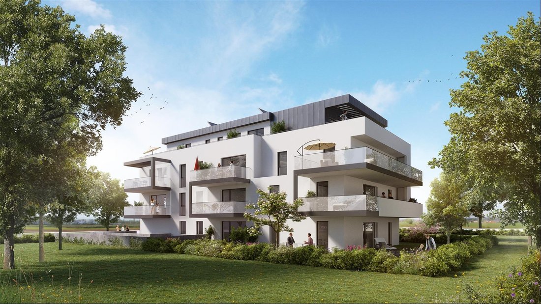 Apartment in Mittelhausbergen, Grand Est, France 1 - 12844690