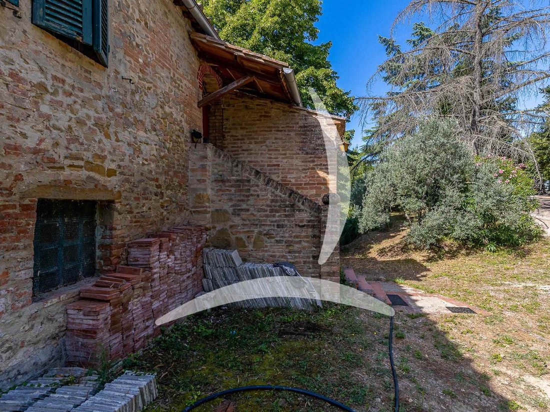 Asciano, Tuscany, Italy 5 - 14549612