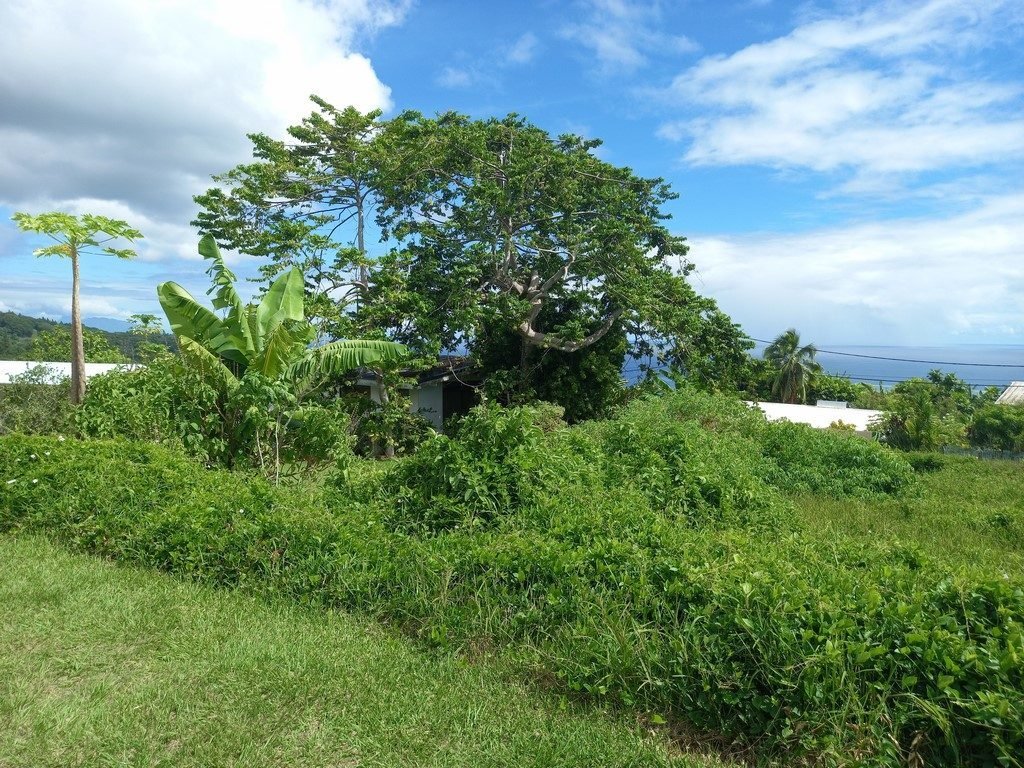 House in Māhina, Windward Islands, French Polynesia 2 - 12843592