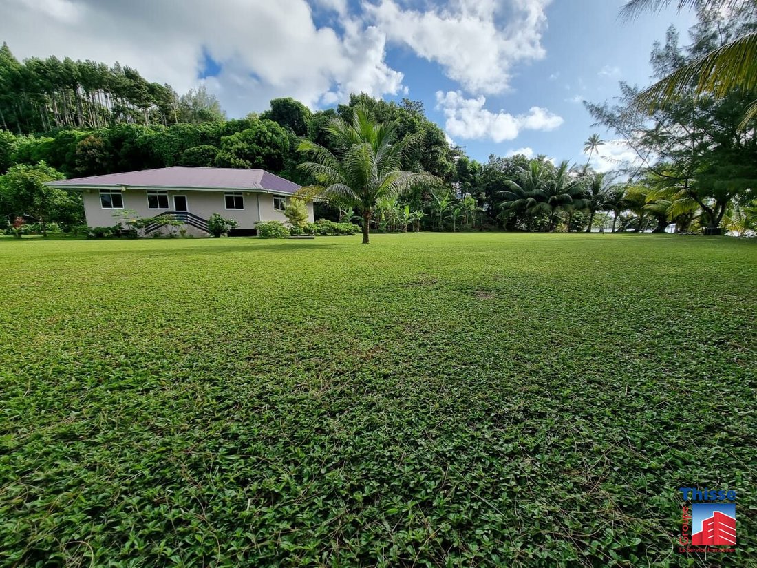 Land in taputapuatea, French Polynesia 2 - 13347123