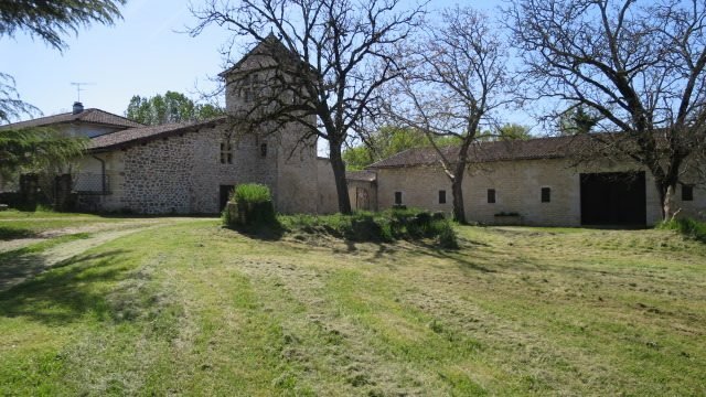 Château Bommes: A Golden Vineyard Kingdom Near Bordeaux’s Heart
