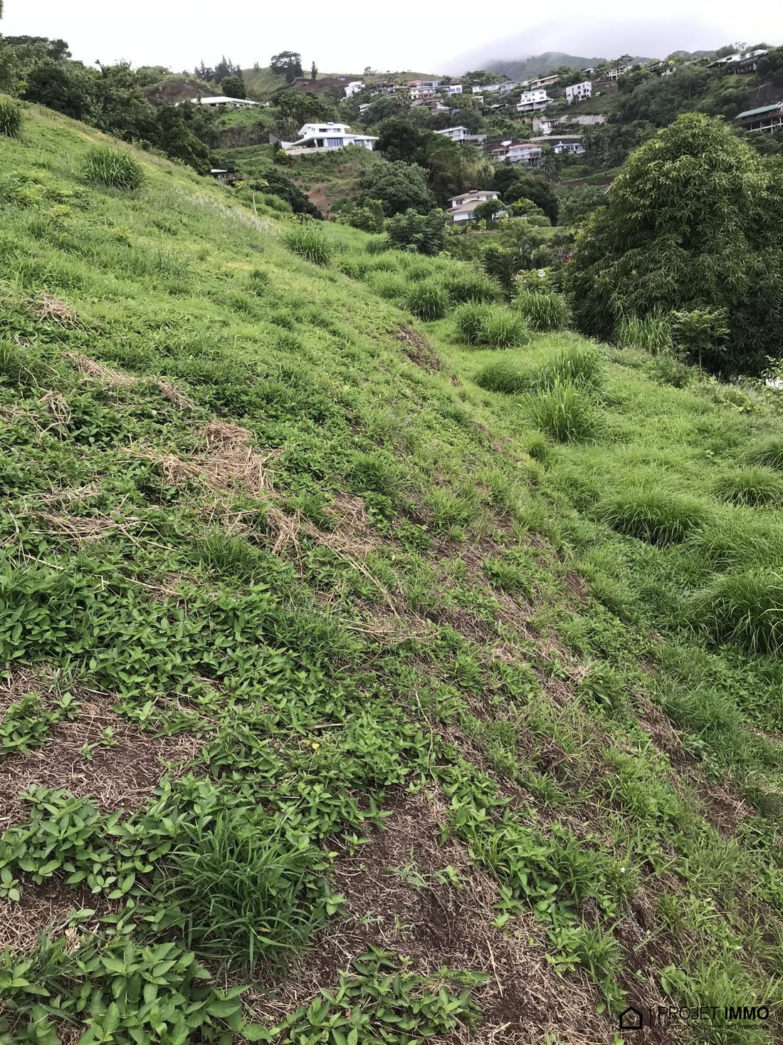 Land in Puna'auia, Windward Islands, French Polynesia 4 - 13547696