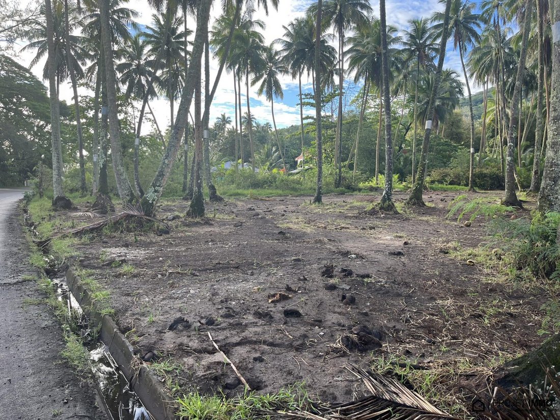 Land in Moorea-Maiao, Windward Islands, French Polynesia 1 - 13342387