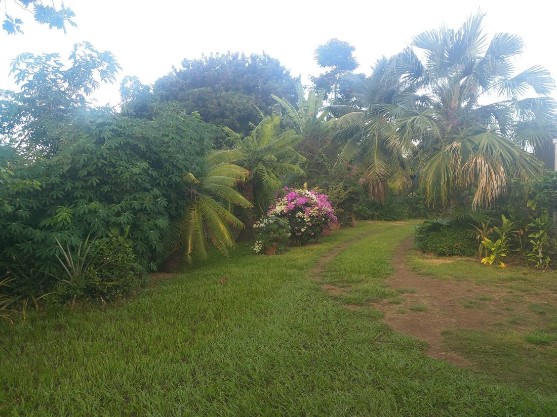 Land in Puna'auia, Windward Islands, French Polynesia 3 - 12843954