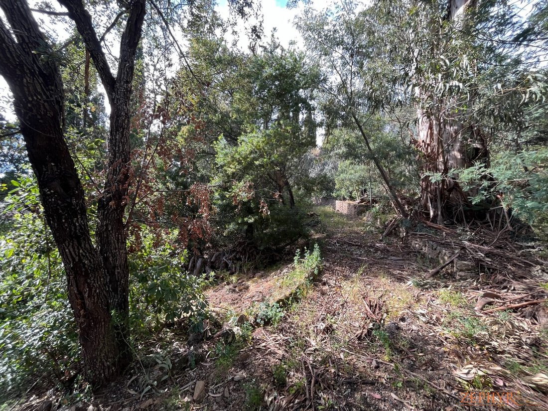 Land in Ecarts, Roquebrune-sur-Argens, France 1 - 13321813