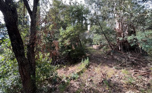 Land in Roquebrune-sur-Argens, Provence-Alpes-C�te d'Azur, France 1