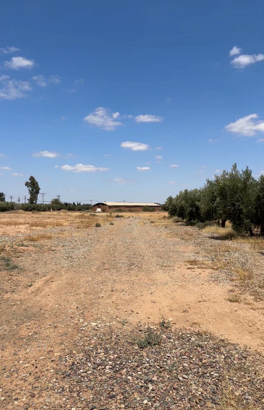 Land in Carrieres-sous-Poissy, Ile-de-France, France 1 - 14289744