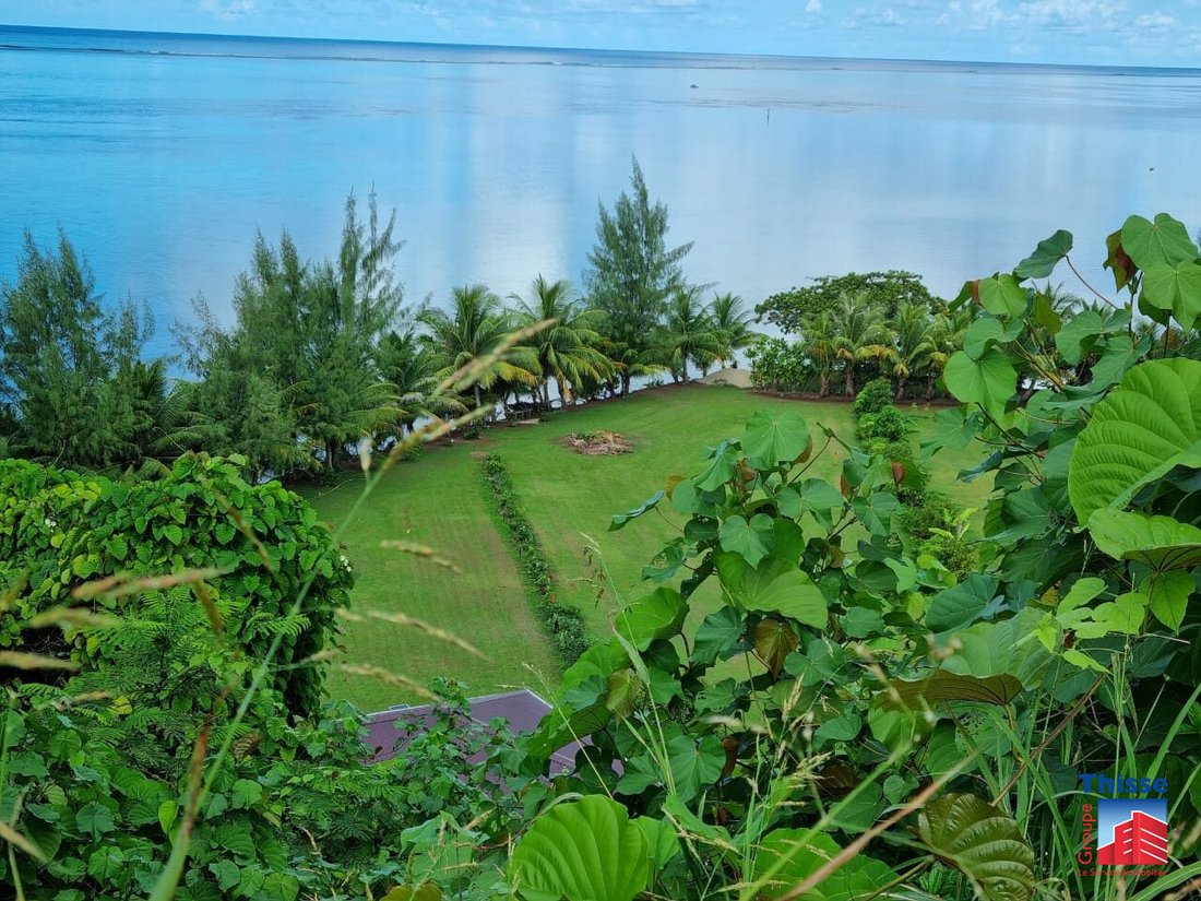 Land in taputapuatea, French Polynesia 4 - 13347123