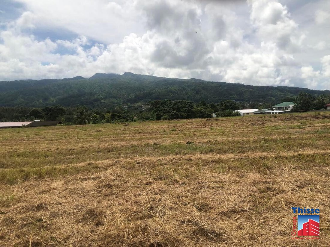 Land in Taravao, Windward Islands, French Polynesia 5 - 12849133