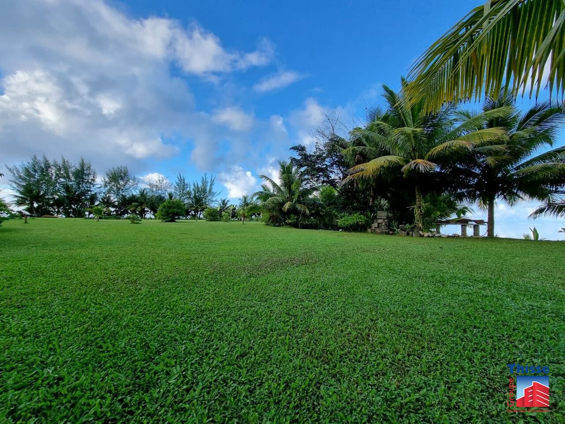 Land in taputapuatea, French Polynesia 1 - 13347123