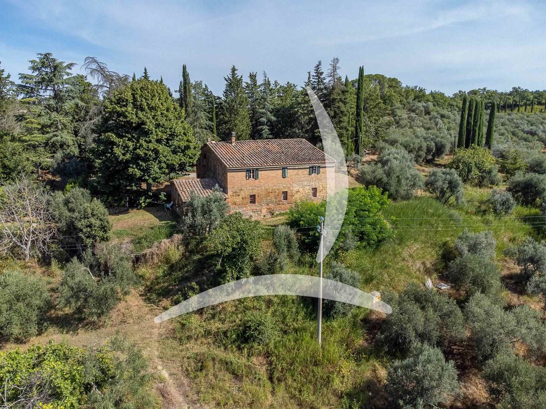 Asciano, Tuscany, Italy 1 - 14549612