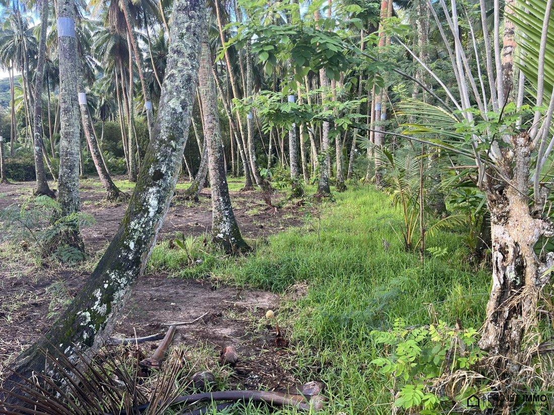 Land in Moorea-Maiao, Windward Islands, French Polynesia 2 - 13342387